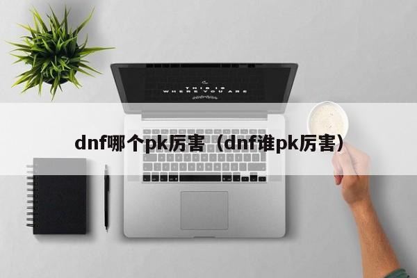 dnf哪个pk厉害（dnf谁pk厉害）