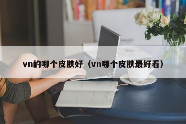 vn的哪个皮肤好（vn哪个皮肤最好看）