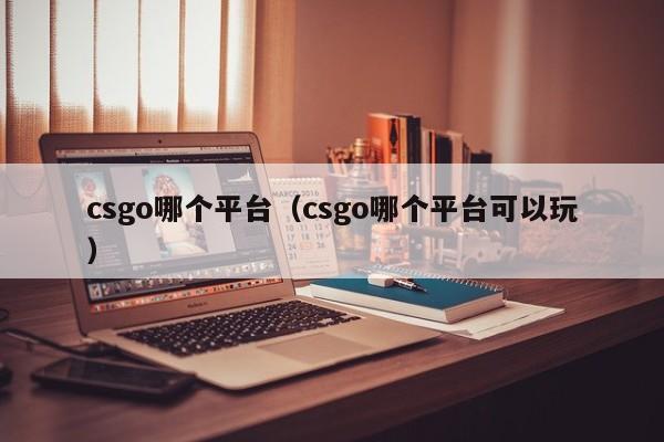 csgo哪个平台（csgo哪个平台可以玩）