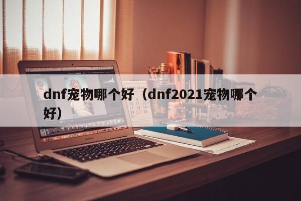 dnf宠物哪个好（dnf2021宠物哪个好）