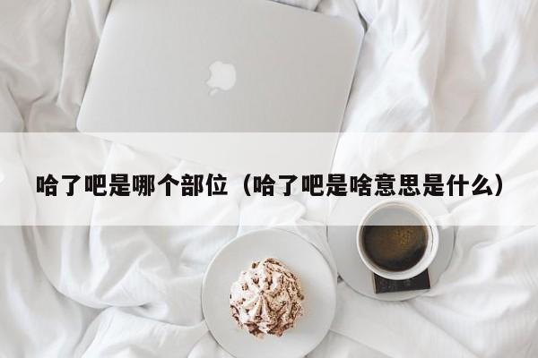 哈了吧是哪个部位（哈了吧是啥意思是什么）