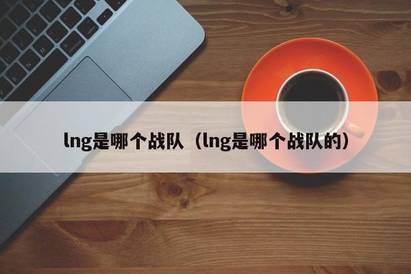 lng是哪个战队（lng是哪个战队的）