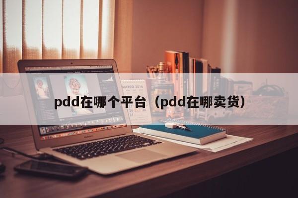 pdd在哪个平台（pdd在哪卖货）