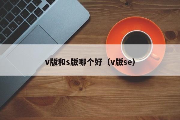 v版和s版哪个好（v版se）