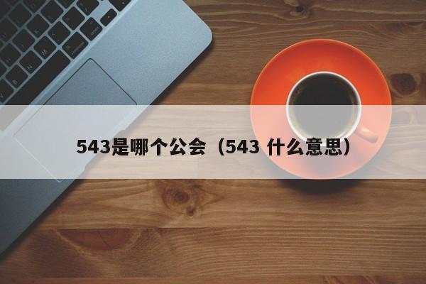 543是哪个公会（543 什么意思）