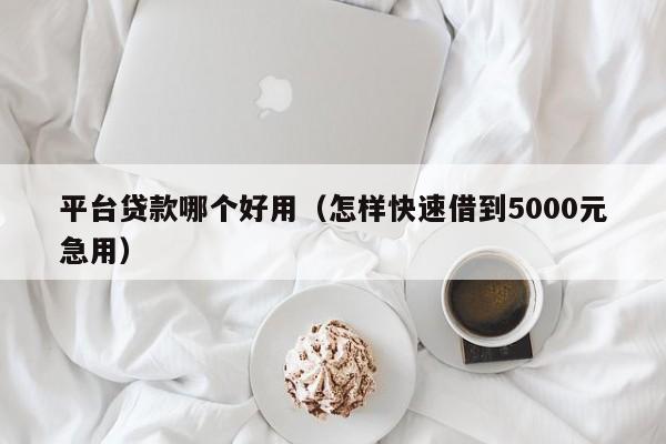 平台贷款哪个好用（怎样快速借到5000元急用）