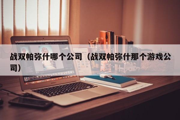 战双帕弥什哪个公司（战双帕弥什那个游戏公司）